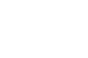 Sydney Direct Fresh Produce logo