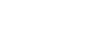 the grocery store logo