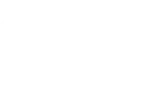 the grocery store logo